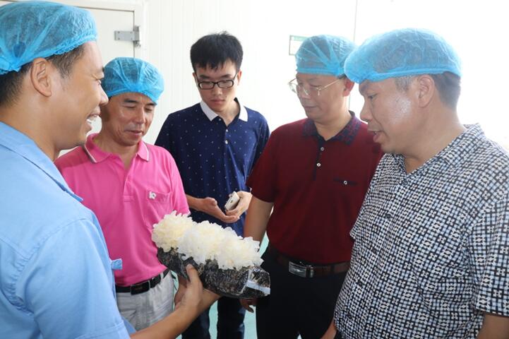 “湘軍故里，鋼鐵新城”我院助力婁底市開啟創(chuàng)新發(fā)展新篇章