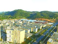 中山：加快建設東升脆肉鯇、橫欄花木省級現(xiàn)代農(nóng)業(yè)產(chǎn)業(yè)園