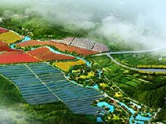鄭州市工信局：積極構建管城區(qū)、經(jīng)開區(qū)、中牟縣“兩區(qū)一縣”氫燃料電池汽車