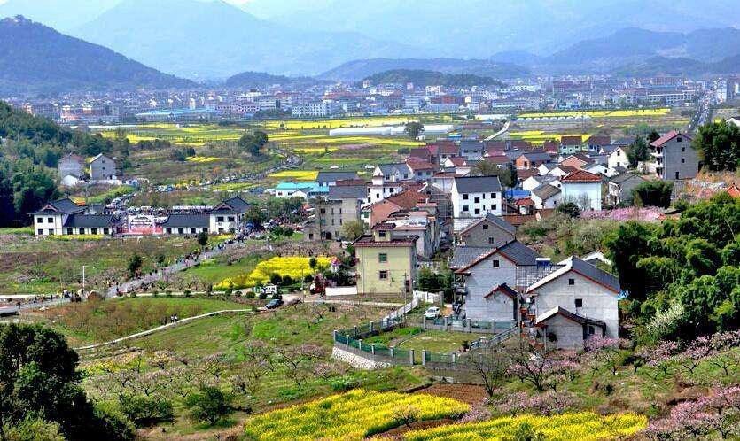 馬曉河 涂圣偉:實現(xiàn)農民富、農業(yè)強、農村美的路線圖