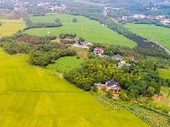 智慧園區(qū)規(guī)劃 | 產(chǎn)業(yè)園區(qū)該如何應(yīng)對突發(fā)公共事件？