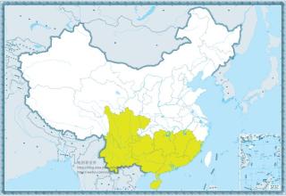 深化泛珠三角區(qū)域合作構建我國重要經濟支撐帶