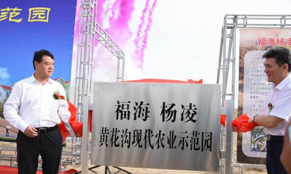 新疆福?？h攜手楊凌高新區(qū)打造中國高緯度農(nóng)業(yè)示范基地