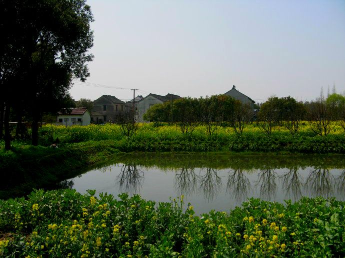 上海鄉(xiāng)村振興，建設(shè)美麗綠色幸福“三園”