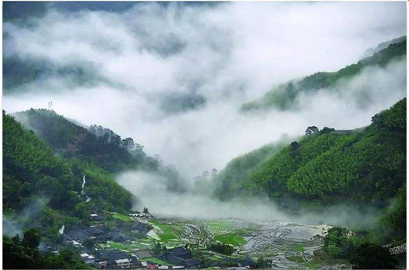 四、農(nóng)村一二三產(chǎn)業(yè)融合發(fā)展先導(dǎo)區(qū)項(xiàng)目