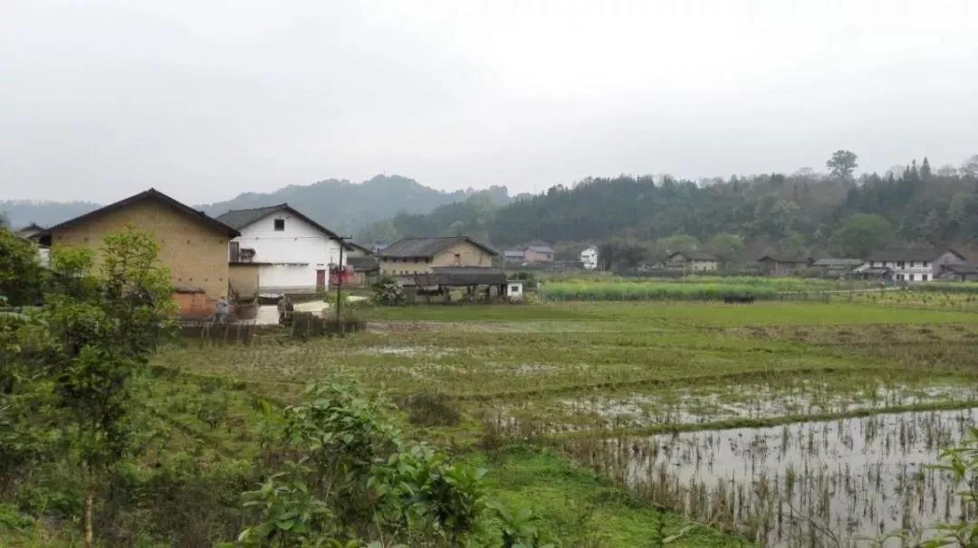 農(nóng)村土地確權(quán)結(jié)束，沒登記的四荒地如何處理？
