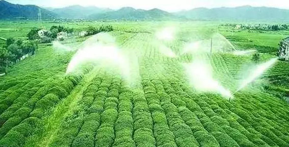 重磅！2019中央一號(hào)文件即將發(fā)布！大農(nóng)業(yè)領(lǐng)域迎來新機(jī)遇