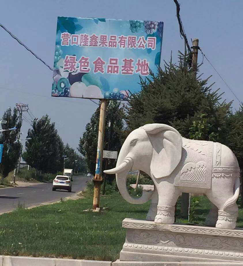 東北水果之鄉(xiāng)迎來(lái)發(fā)展新機(jī)遇，蓋州爭(zhēng)創(chuàng)省級(jí)現(xiàn)代農(nóng)業(yè)產(chǎn)業(yè)園