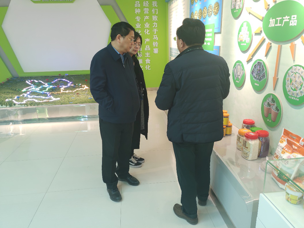 “中國薯都”再奏新旋律，定西市安定區(qū)開啟馬鈴薯產(chǎn)業(yè)發(fā)展新篇章
