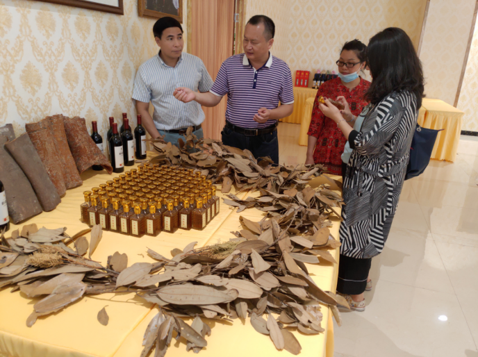 龔州大地，龍眼飄香-平南現(xiàn)代農(nóng)業(yè)正釋放科技創(chuàng)新活力
