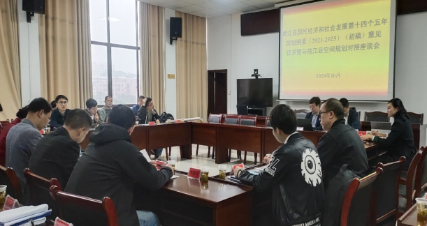 集聚頭腦風暴，為高質量編制桃江“十四五”規(guī)劃建言獻策