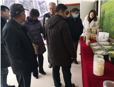 借力專家智慧，云州區(qū)蹄疾步穩(wěn)邁向國家現代農業(yè)產業(yè)園