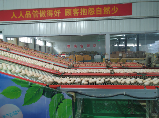 后稷故里，板棗之鄉(xiāng)——山西省稷山縣大力爭(zhēng)創(chuàng)國(guó)家現(xiàn)代農(nóng)業(yè)產(chǎn)業(yè)園