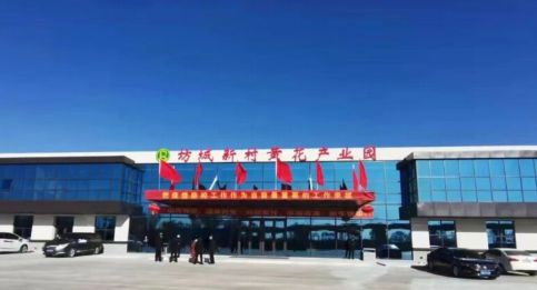 大同黃花，忘憂云州——云州區(qū)積極申創(chuàng)國家農(nóng)業(yè)現(xiàn)代化示范區(qū)