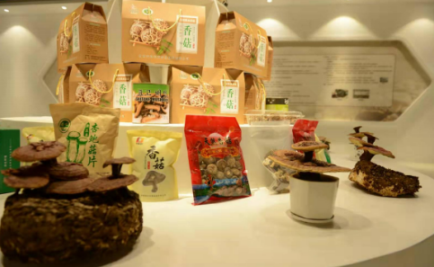 依托蘋果和香菇兩大特色優(yōu)勢產(chǎn)業(yè)，萬榮縣積極申創(chuàng)國家農(nóng)業(yè)現(xiàn)代化示范區(qū)