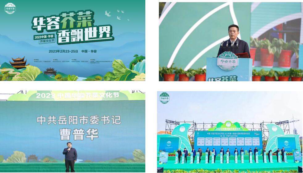 華容芥菜香飄四海，創(chuàng)建國家現(xiàn)代農業(yè)產業(yè)園恰逢其時