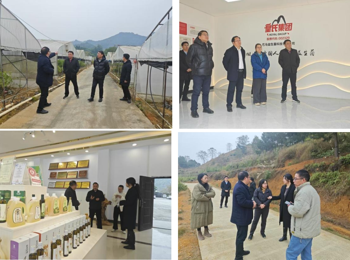長壽之鄉(xiāng)，逐路之行——高新院專家組一行赴廣西巴馬瑤族自治縣開展河池農(nóng)高區(qū)創(chuàng)建調(diào)研